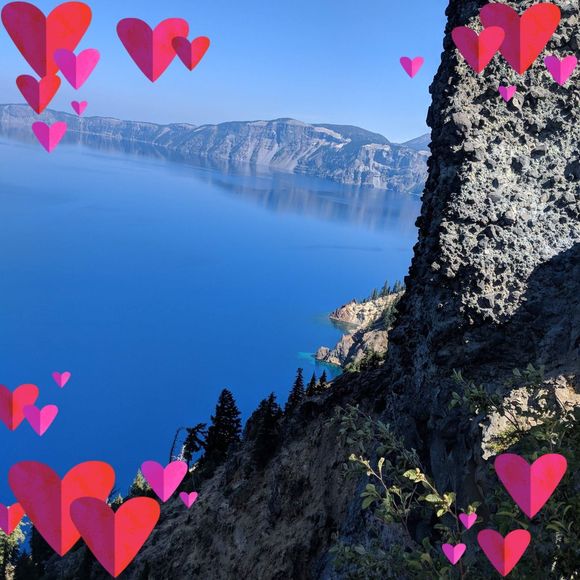 Meet your Posher, Miguel - Picture 1 of 1